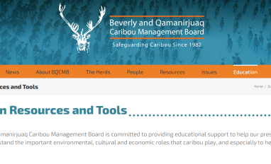Website with logo for Beverly and Qamanirjuaq Caribou Management Board (a stylized male caribou head, looking straight on) and text describing resources Board