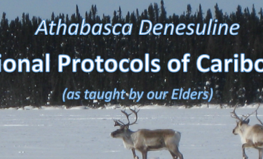 Picture of 4 caribou in snow behind report title