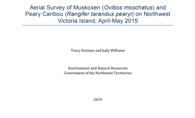 Cover page of report