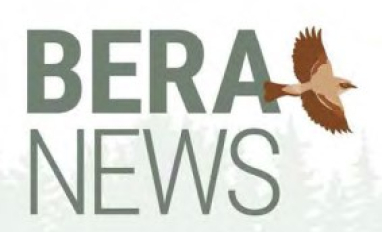 BERA News Logo