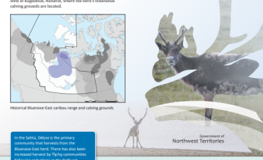 Bluenose-East factsheet page 1