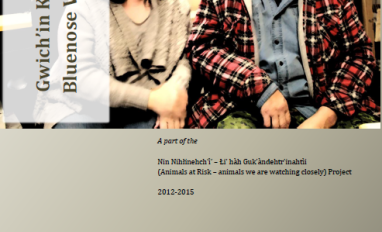 Report cover with a photo of a smiling couple facing the camera