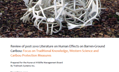 Report cover with a photo of many caribou antlers woven into a circle on the ground