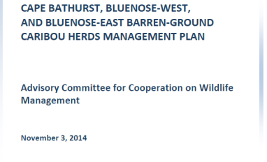 Report cover with photo of 4 caribou walking and feeding in tundra on bottom, and 1 smaller photo of 2 caribou standing on tundra at top left