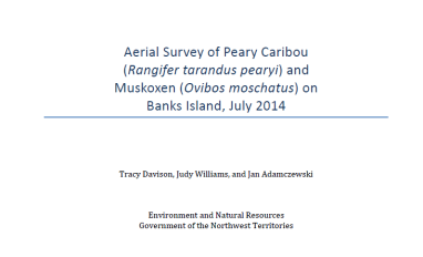 Report cover with basic text (title, authors), and colourful government of NT logo along the top