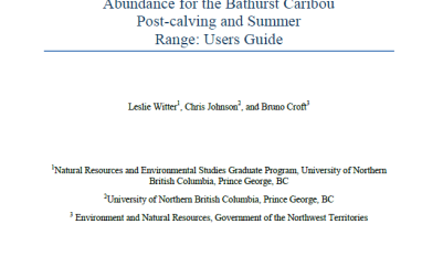 Report cover that is fully text (no images), including title, authors, organization and year