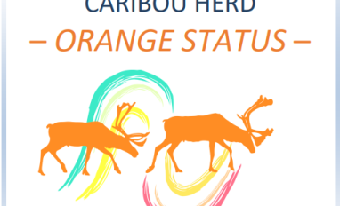 Cover page of report