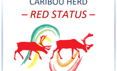 Cover page of report