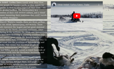 Text boxes describing the documentary are overlaid on a large background image of a hunter in a snowy landscape processing a caribou, and a box showing a hunter on snowmobile with an arrow indicating "play video"