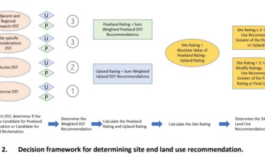 Updated Decision Support Tool