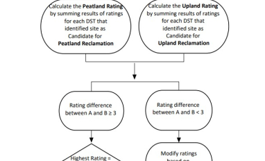 Decision Support Tool