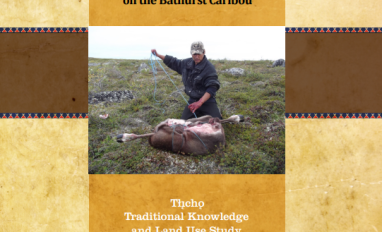 We Live Here for Caribou cover