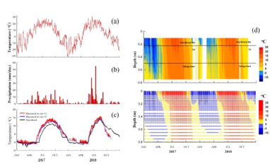 3D thermal hydrological simulations
