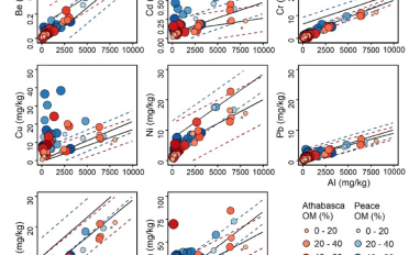 Metals in sediment biofilms