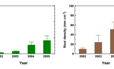 Biomass and root density over time