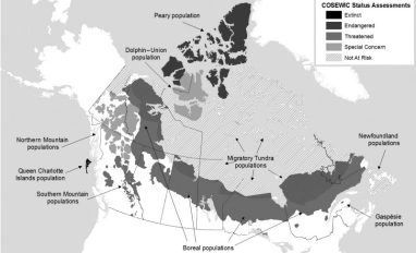 Map of caribou ranges