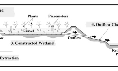 Constructed Wetland Cross-Section