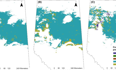 Drivers of white-tailed deer range change 