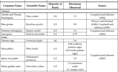 Grassland species rooting depth