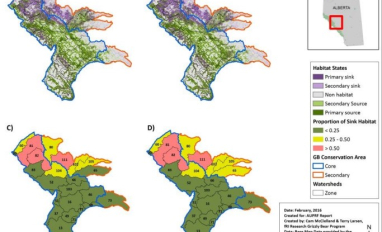 Grizzly bear habitat