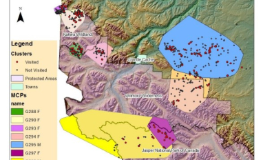 MCPs of all 8 grizzly bears with their sex (F or M) and locations of all clusters from GPS collar locations and those clusters visited
