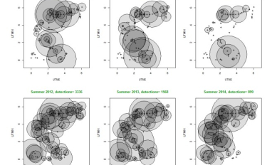 Spatio-temporal patterns of white-tailed deer detections across camera sampling sites