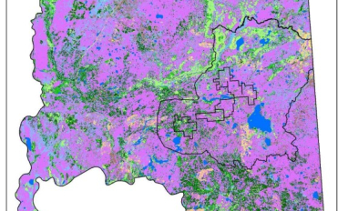 2010 native vegetation