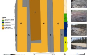 Peat inversion trial layout