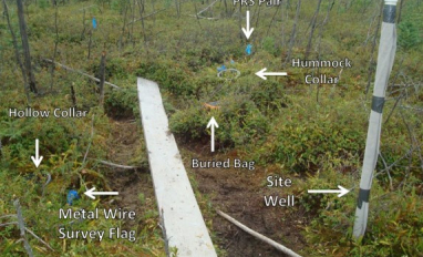 Peatland test site layout