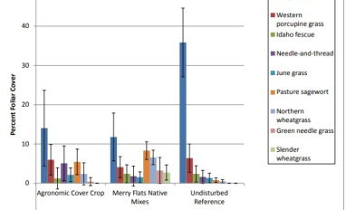 Percent grass species cover after 11 years