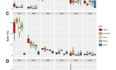 Plant cover by seed mix