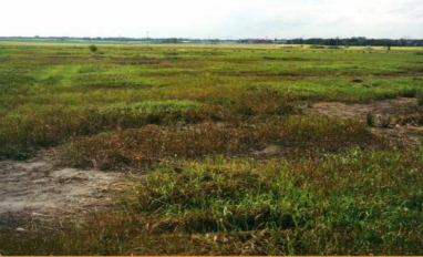 Wellsite with crude oil spill