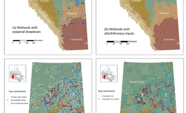 Isotope-based wetland classifications