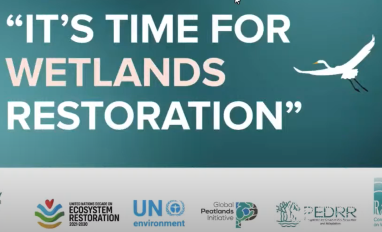 world wetlands day webinar 2023