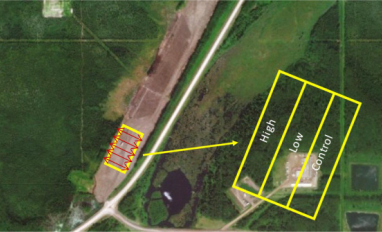 Airstrip biosolids trial layout
