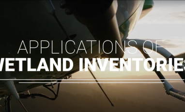 Wetland inventories