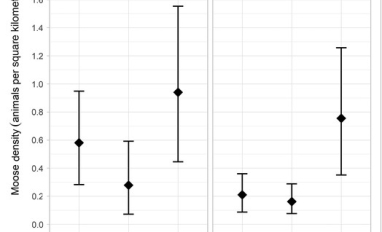 Moose density as a function of forest type