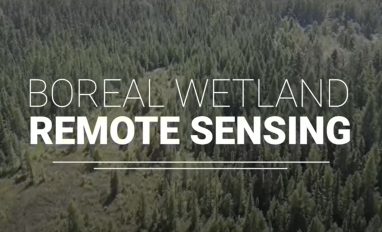 boreal wetlands remote sensing