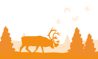 Caribou walking through trees.