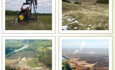 Disturbance types discussed by the Panel