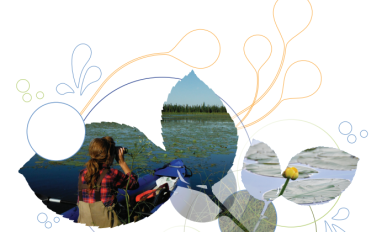 Alberta wetlands discovery field guide