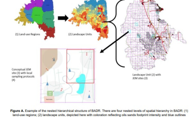 Oil Sands BADR Model