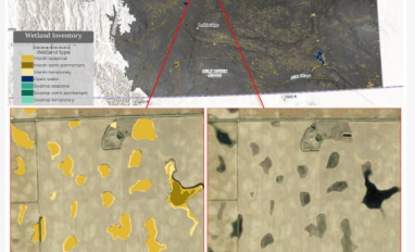 Remote sensing for wetland inventory
