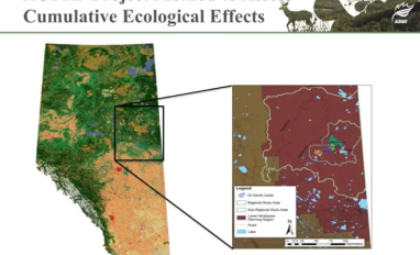 Schieck - Cumulative effects monitoring