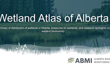 ABMI Wetland Atlas Webinar