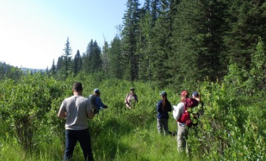 SALMTEC Blended course