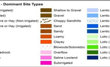 SALMTEC Grassland course