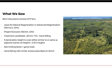 Birch Mountains Seismic Lines