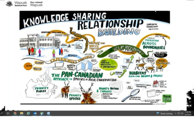 Cape Churchill caribou