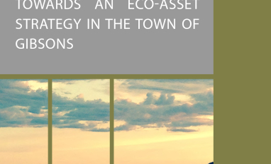 Eco-Asset-Strategy-1